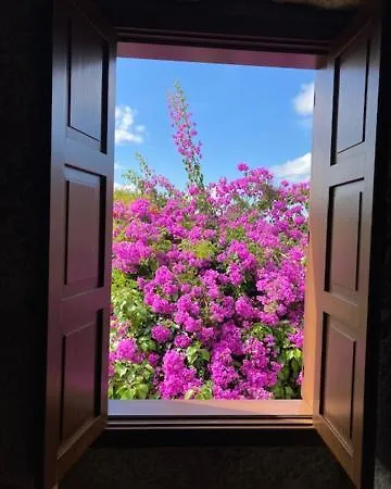 Eido Do Rei - Hospedaxe Rural بيت ضيافة *