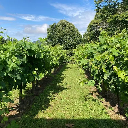 Eido Do Rei - Hospedaxe Rural