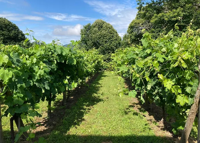 Eido Do Rei - Hospedaxe Rural